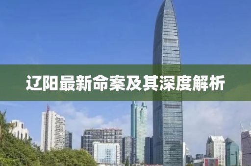 辽阳最新命案及其深度解析