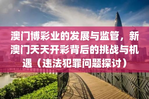澳门博彩业的发展与监管，新澳门天天开彩背后的挑战与机遇（违法犯罪问题探讨）