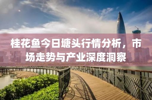 桂花鱼今日塘头行情分析，市场走势与产业深度洞察