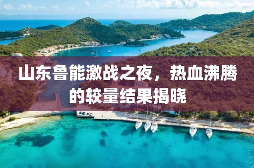 山东鲁能激战之夜，热血沸腾的较量结果揭晓