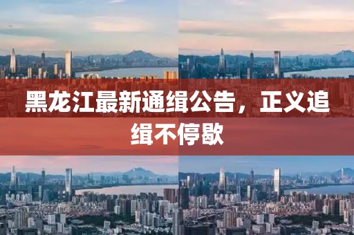 黑龙江最新通缉公告，正义追缉不停歇