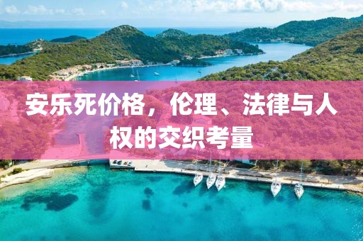 安乐死价格，伦理、法律与人权的交织考量