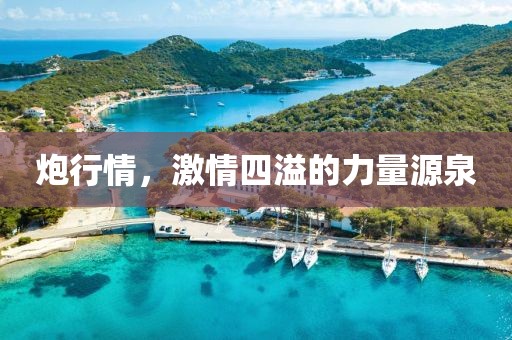 守思雁 第6页