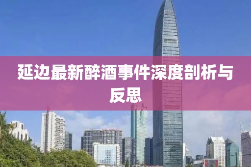 延边最新醉酒事件深度剖析与反思