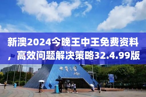 新澳2024今晚王中王免费资料，高效问题解决策略32.4.99版