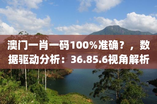 澳门一肖一码100%准确？，数据驱动分析：36.85.6视角解析