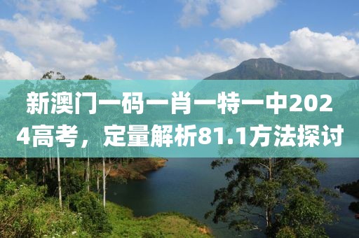 新澳门一码一肖一特一中2024高考，定量解析81.1方法探讨