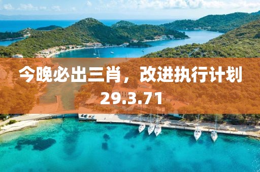 今晚必出三肖，改进执行计划29.3.71