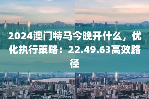 2024澳门特马今晚开什么，优化执行策略：22.49.63高效路径