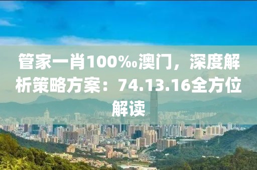 管家一肖100‰澳门，深度解析策略方案：74.13.16全方位解读
