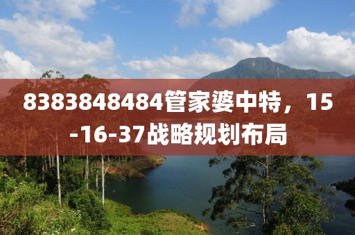 8383848484管家婆中特，15-16-37战略规划布局