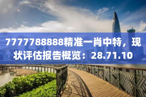 7777788888精准一肖中特，现状评估报告概览：28.71.10