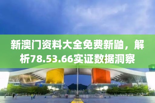 新澳门资料大全免费新鼬，解析78.53.66实证数据洞察