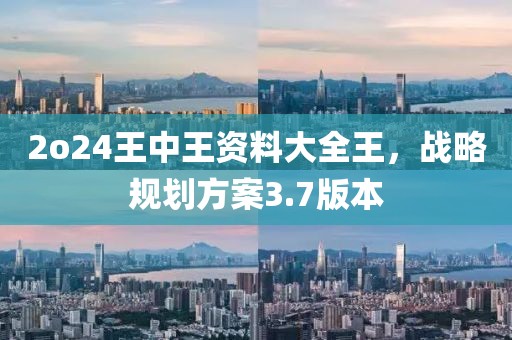 2o24王中王资料大全王，战略规划方案3.7版本