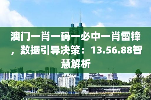 澳门一肖一码一必中一肖雷锋，数据引导决策：13.56.88智慧解析