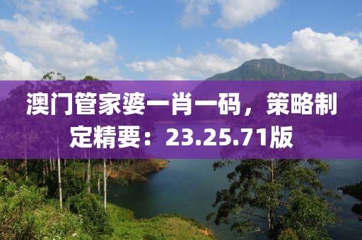 澳门管家婆一肖一码，策略制定精要：23.25.71版