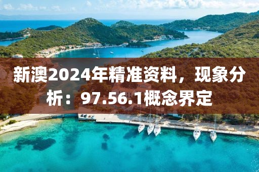 新澳2024年精准资料，现象分析：97.56.1概念界定