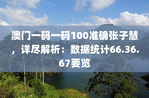 澳门一码一码100准确张子慧，详尽解析：数据统计66.36.67要览