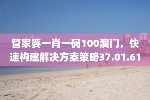 管家婆一肖一码100澳门，快速构建解决方案策略37.01.61