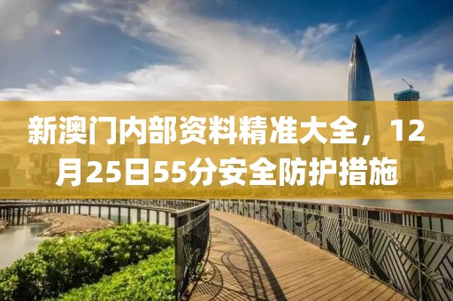 新澳门内部资料精准大全，12月25日55分安全防护措施