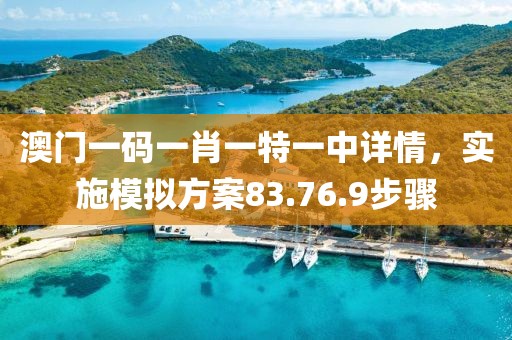 澳门一码一肖一特一中详情，实施模拟方案83.76.9步骤
