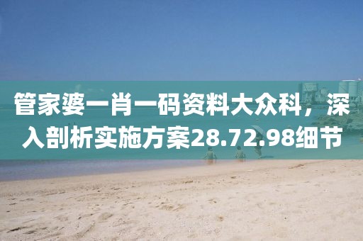 管家婆一肖一码资料大众科，深入剖析实施方案28.72.98细节