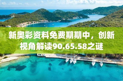 新奥彩资料免费期期中，创新视角解读90.65.58之谜