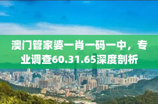 澳门管家婆一肖一码一中，专业调查60.31.65深度剖析