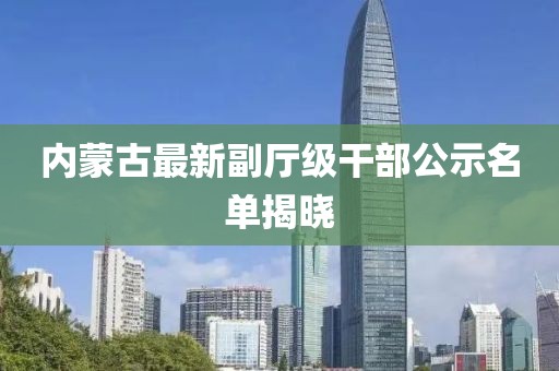 内蒙古最新副厅级干部公示名单揭晓