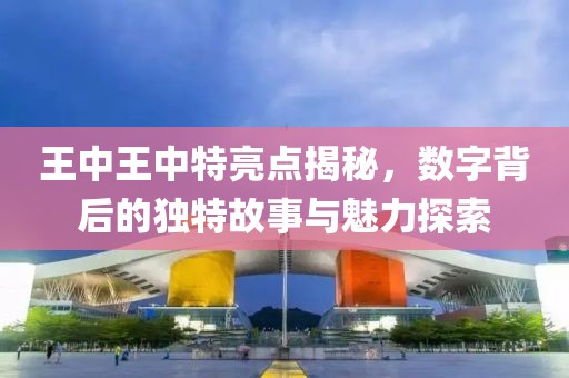王中王中特亮点揭秘，数字背后的独特故事与魅力探索