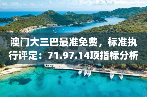 澳门大三巴最准免费，标准执行评定：71.97.14项指标分析