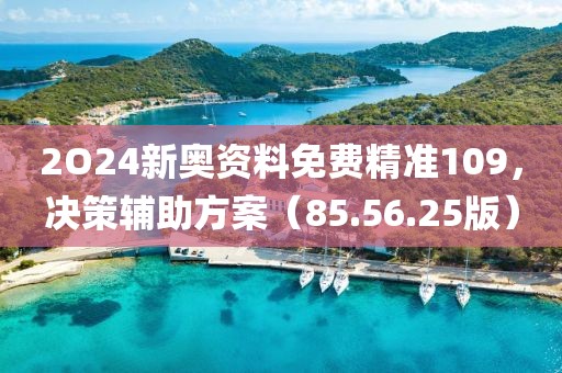 2O24新奥资料免费精准109，决策辅助方案（85.56.25版）