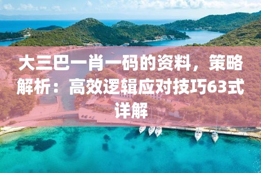 大三巴一肖一码的资料，策略解析：高效逻辑应对技巧63式详解