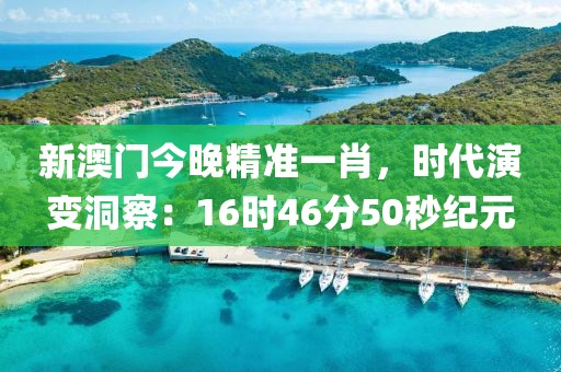 新澳门今晚精准一肖，时代演变洞察：16时46分50秒纪元