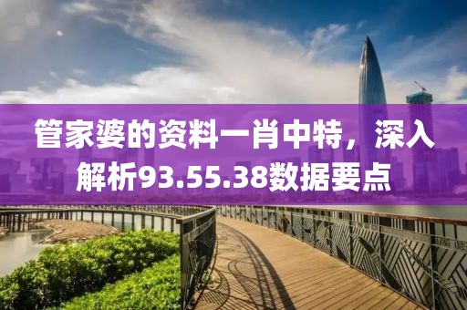 管家婆的资料一肖中特，深入解析93.55.38数据要点