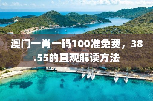 澳门一肖一码100准免费，38.55的直观解读方法