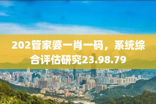 202管家婆一肖一码，系统综合评估研究23.98.79