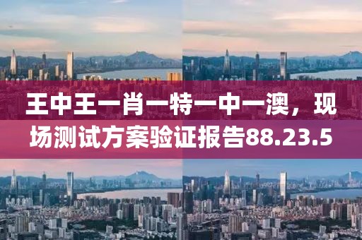 王中王一肖一特一中一澳，现场测试方案验证报告88.23.5