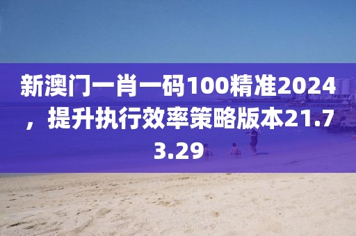 新澳门一肖一码100精准2024，提升执行效率策略版本21.73.29