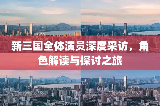 新三国全体演员深度采访，角色解读与探讨之旅