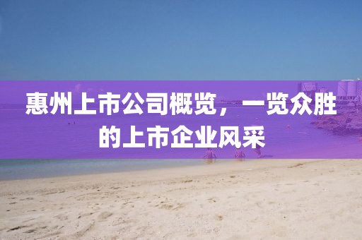 惠州上市公司概览，一览众胜的上市企业风采