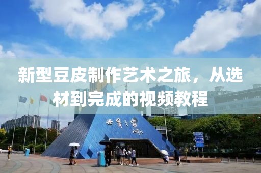 新型豆皮制作艺术之旅，从选材到完成的视频教程