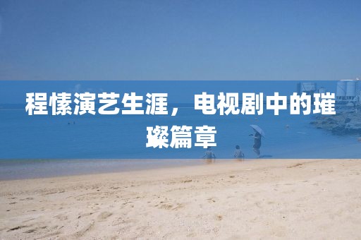 程愫演艺生涯，电视剧中的璀璨篇章