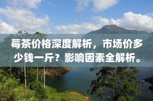 莓茶价格深度解析，市场价多少钱一斤？影响因素全解析。