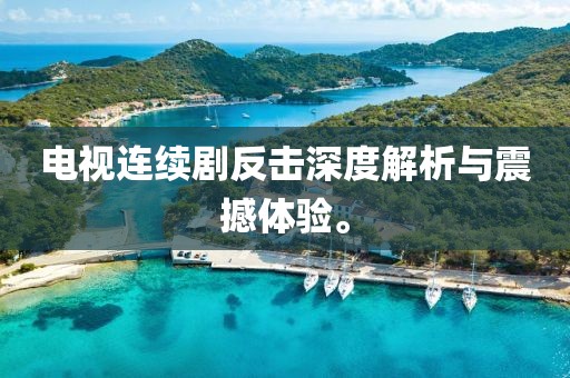 电视连续剧反击深度解析与震撼体验。