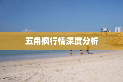 五角枫行情深度分析