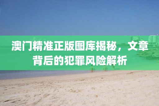 澳门精准正版图库揭秘，文章背后的犯罪风险解析
