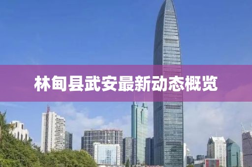 林甸县武安最新动态概览
