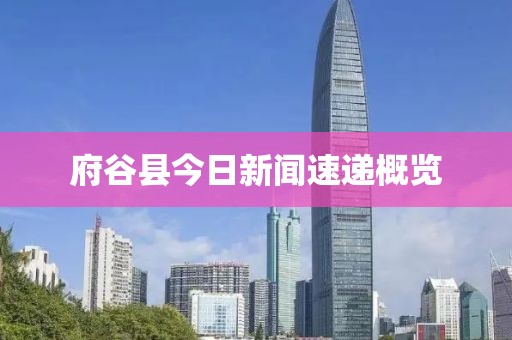 府谷县今日新闻速递概览