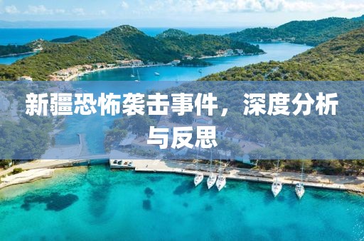 新疆恐怖袭击事件，深度分析与反思